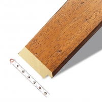 Široký plochý červotoč 