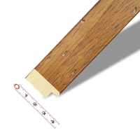 Užší plochý červotoč 