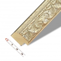 Alavejce stříbrné