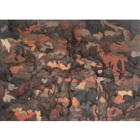 Arna Vazačová - Odstíny hnědé