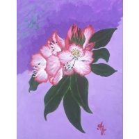 Arna Vazačová - Rhododendron