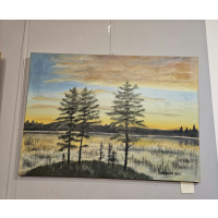 Alena Jirasová - Svítání u rybníka